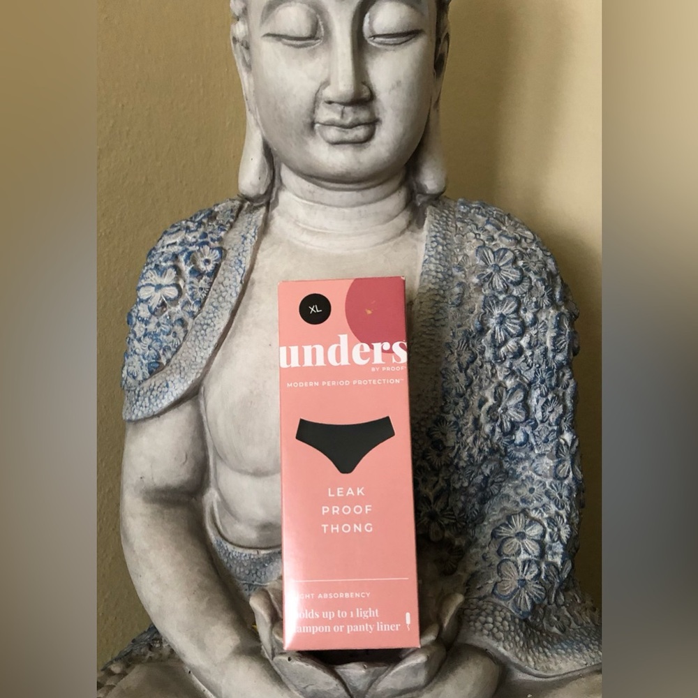 Period Panty